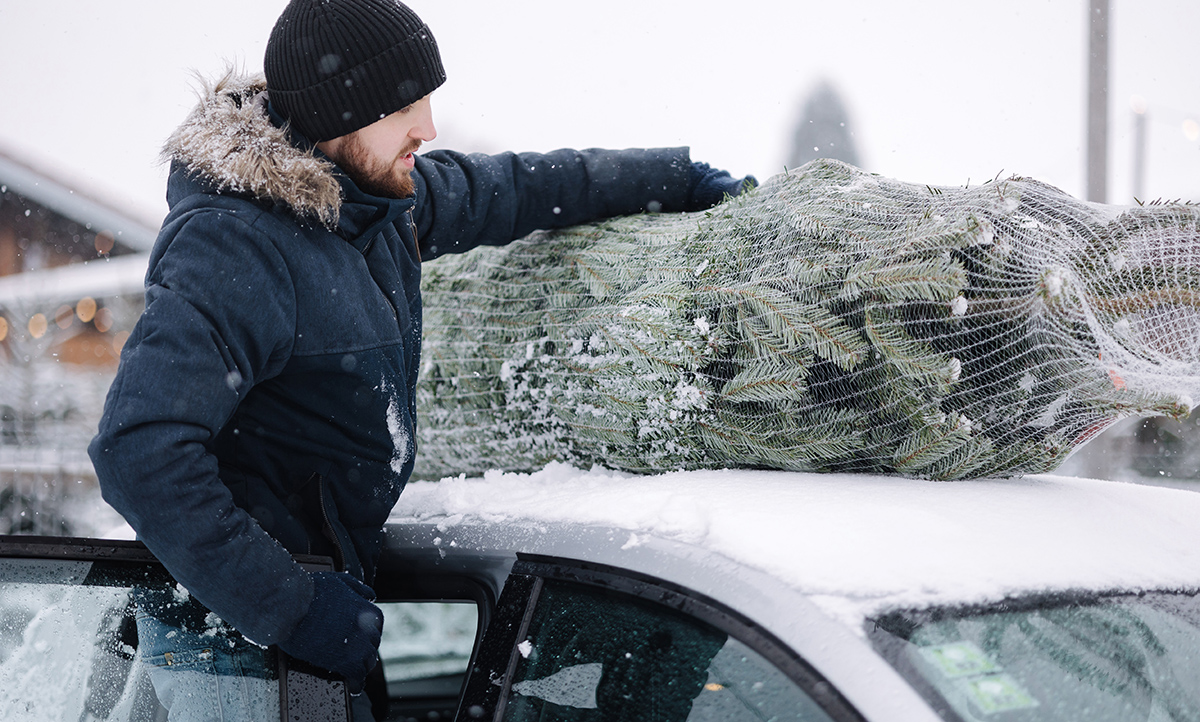 Auto mit Weihnachtsbaum auf dem Dach - IB Laursen