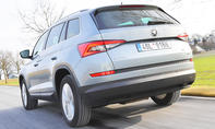 Skoda Kodiaq: Familien-Test