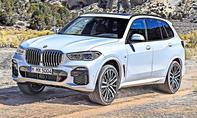 1. Platz BMW X5 31,3 %