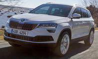 1. Platz – Skoda Karoq, 10,1 % (Importwertung)