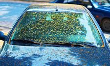 Harz vom Auto entfernen