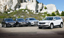 Skoda Kodiaq, Volvo XC90, Mercedes GLE, VW Touareg im Test