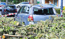 Veddelholzer Duftabwehr Marderspray für Auto, Dachboden und Garage