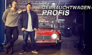 Die Gebrauchtwagenprofis (Mike Brewer/Edd Anstead)