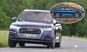 Eine Collage zeigt Audi Q5 und Q5 Sportback.