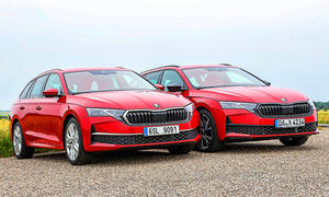 Skoda Octavia Combi Mildhybrid/Diesel
