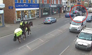Polizei-Verfolgungsjagd mit dem Pferd