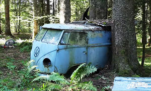 VW T1 Waldfund: Video