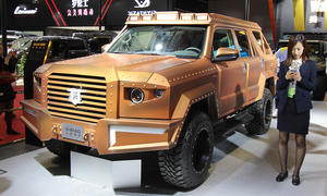 Warrior Motors