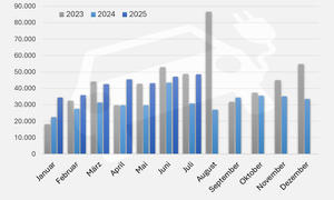 Zulassungszahlen E-Autos 2025, 2024 und 2023 als monatliche Statistik