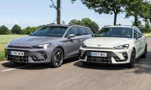 Cupra Leon Sportstourer 1.5 eTSI und 2.0 TDI fahren nebeneinander auf einer Allee, von vorne fotografiert.