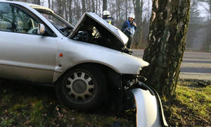 Unfall-Statistik Baum-Unfälle Auto Bäume Allee Verkehrstote