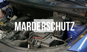 Marderschreck für's Auto: Video