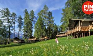 Glamping-Safarizelte im Ferienparadies Natterer See (Tirol)