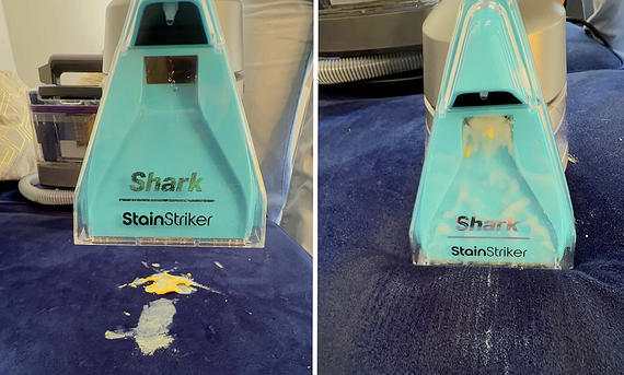 Shark StainStriker HairPro im Praxistest - Jamie Henry/Wunderweib Das Bild zeigt den Shark StainStriker HairPro im Praxistest. Sofapolster werden mit dem Staubsauger von Senfresten befreit.