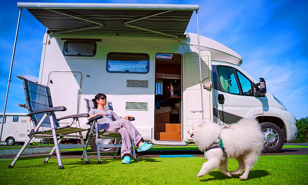 Hundezaun Camping