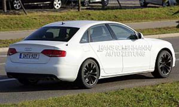 ERLKÖNIG Audi S4