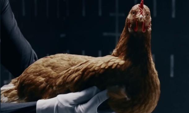Mercedes: Werbung mit Huhn Mercedes Magic Body Control: Werbung mit Huhn