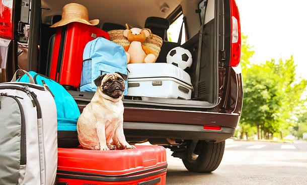 Sommerurlaub mit dem Auto: Tipps!