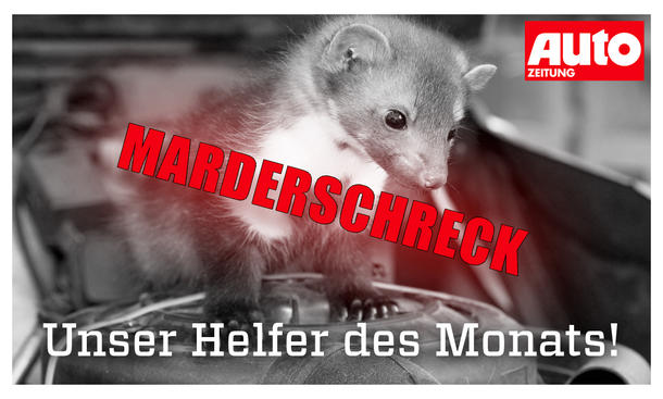 AUTO ZEITUNG-Tipp: Unser Helfer des Monats - AUTO ZEITUNG/Imago AUTO ZEITUNG-Tipp: Unser Helfer des Monats
